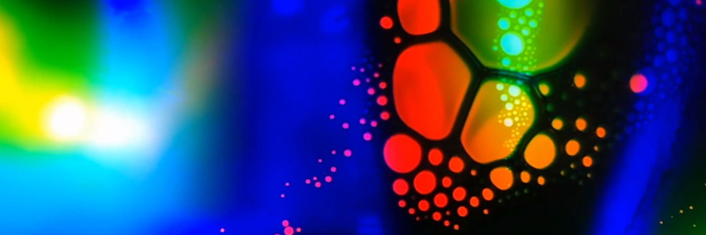 TRAKKNamur's profile banner image