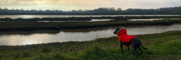 SpacemanSonic Profile Banner