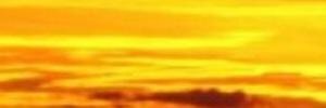 Alienor_pise's profile banner image