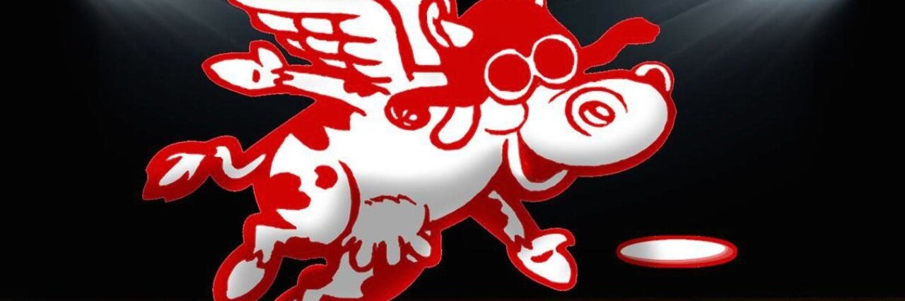 NormandixUFC's profile banner image