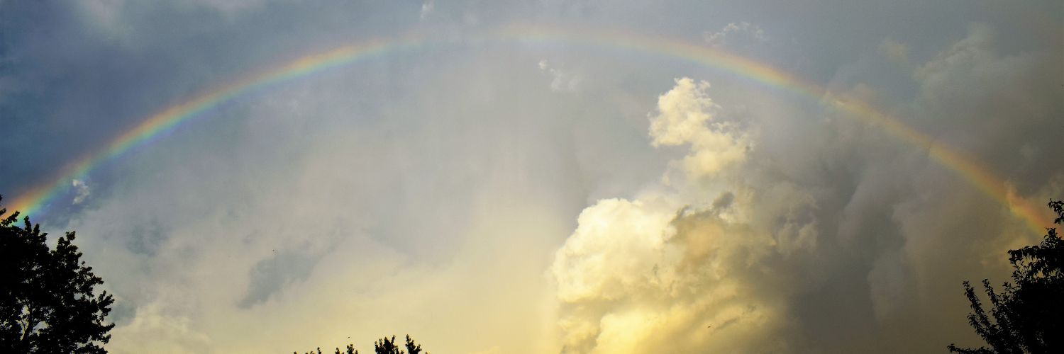 Jennifer 🐬🦋🌸🌻♥️🐾 banner
