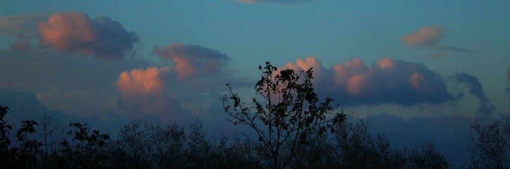 VinceeJacob's profile banner image
