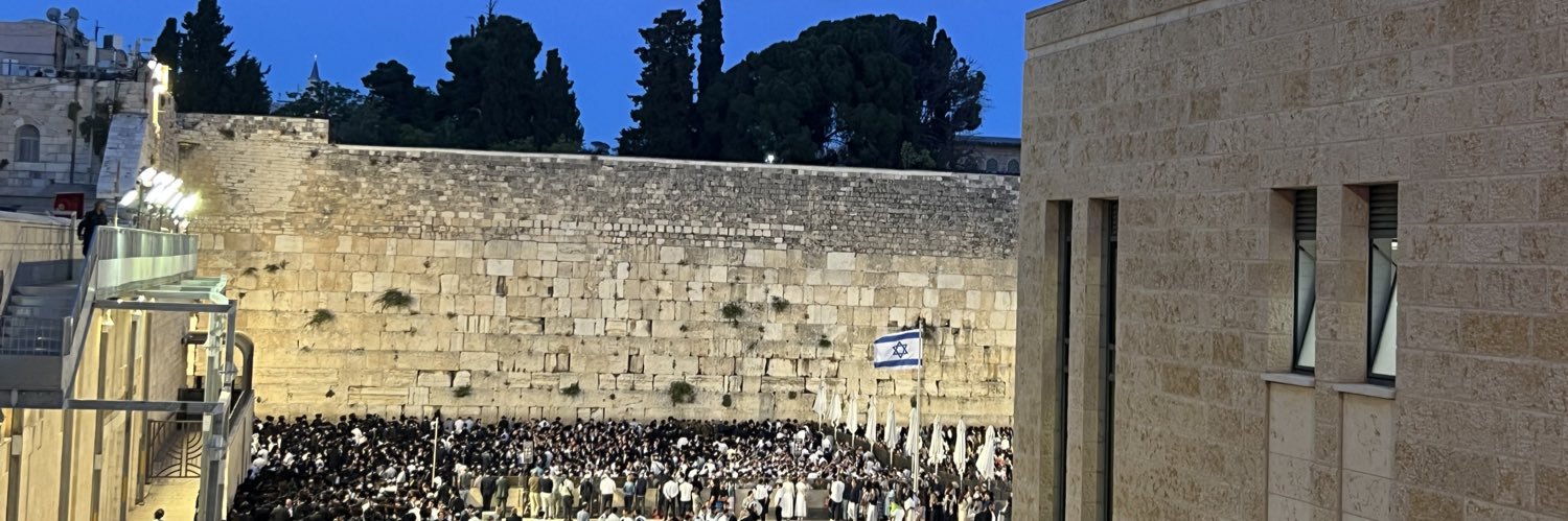 Meredith Weisel ✡️ banner