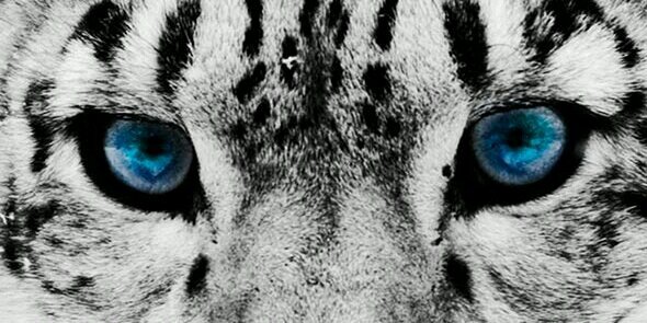 JOsefxzango's profile banner image