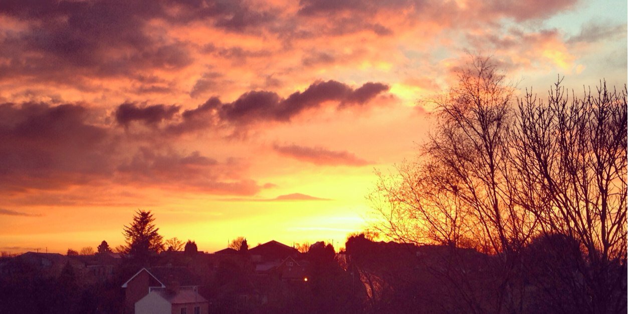 fidge11's profile banner image
