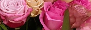 ____129315's profile banner image