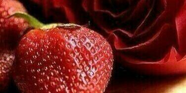 mmsf14071's profile banner image