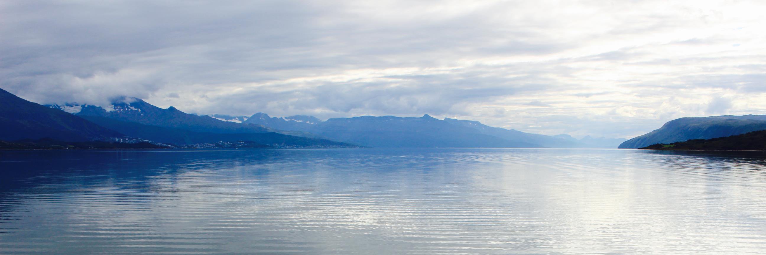 ArcticAnne's profile banner image