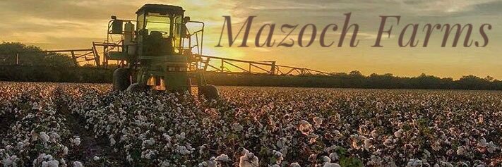 mazoch40's profile banner image