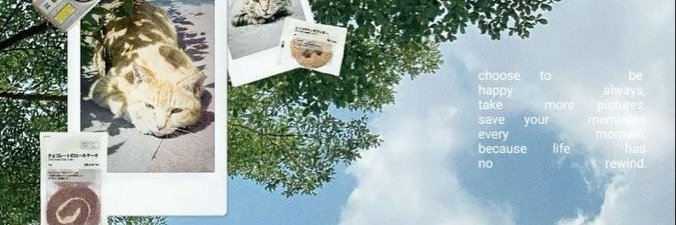 serenyity's profile banner image