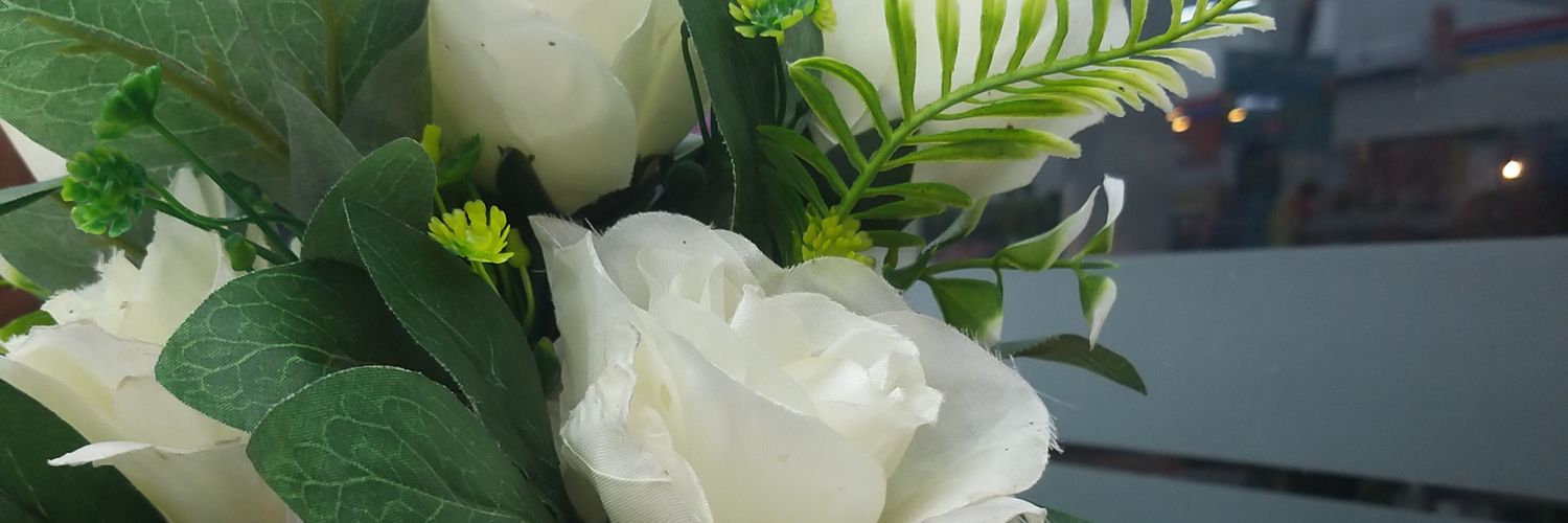 she_pauzi's profile banner image