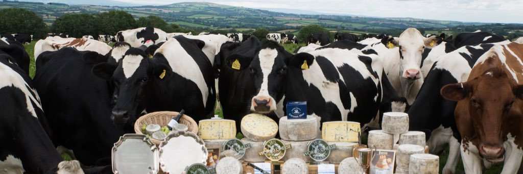 Cornish Cheese Co. banner