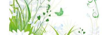 loop_f's profile banner image