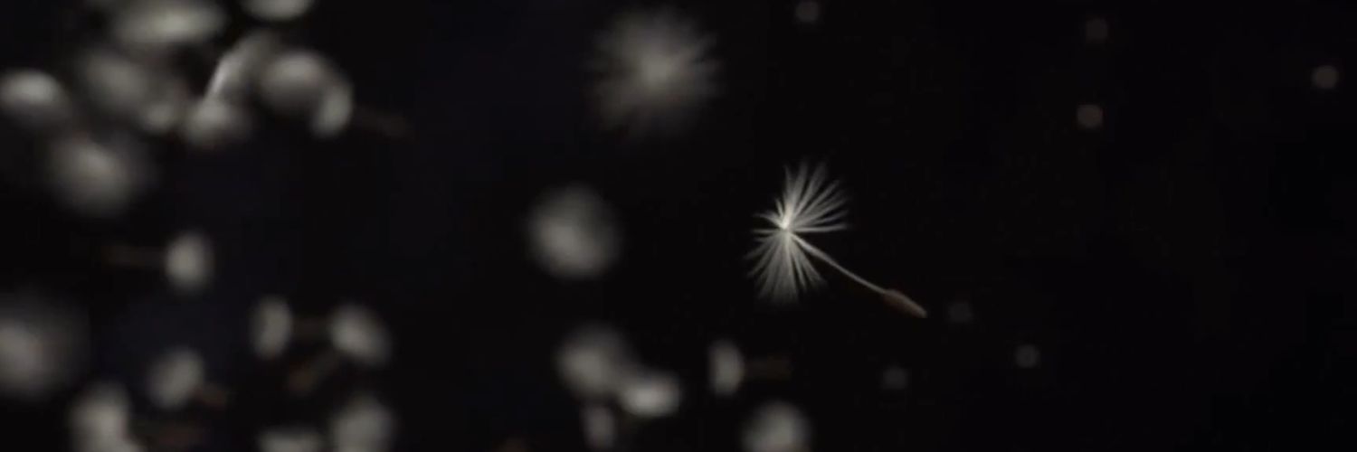 Yol_MC's profile banner image