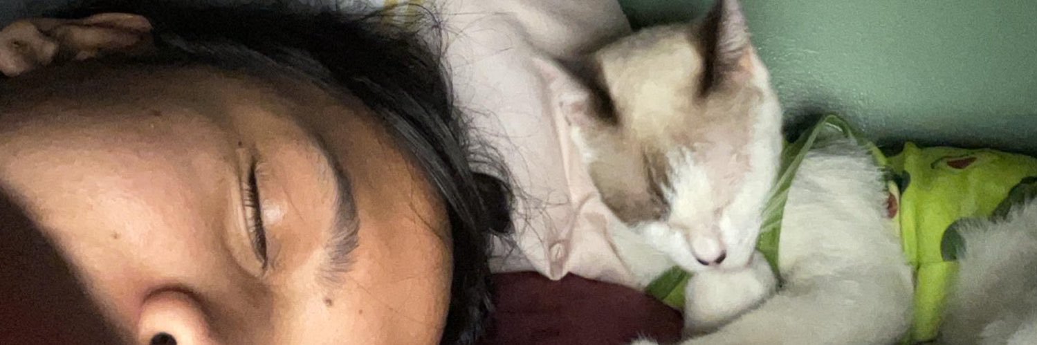 ledeleeee's profile banner image
