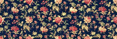 Anisah banner