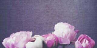 basma211155's profile banner image
