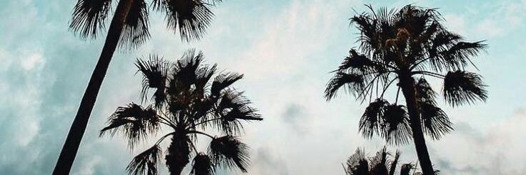 Fer_Gomez22's profile banner image