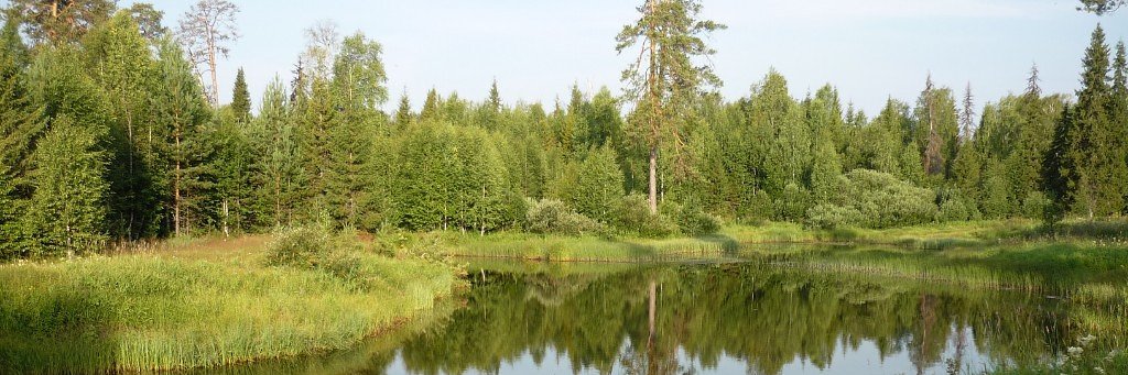 V_Yermakov's profile banner image