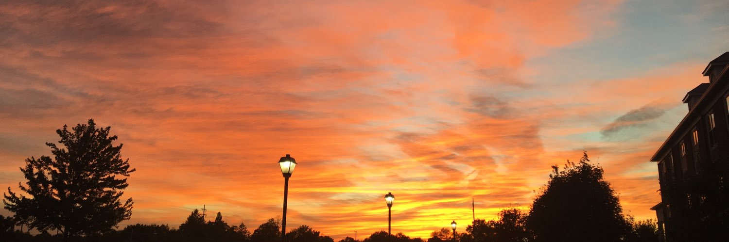 tay_brey's profile banner image