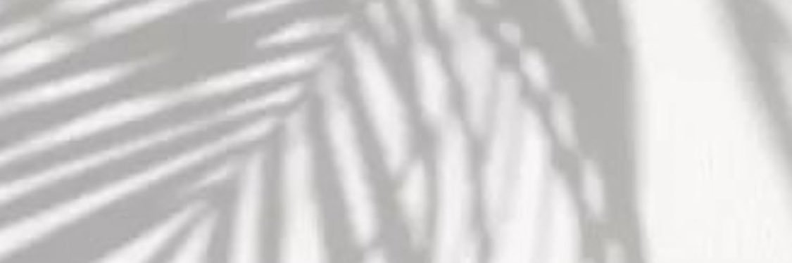 patrodriguesc's profile banner image