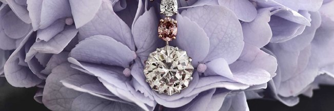 Dhamani1969's profile banner image