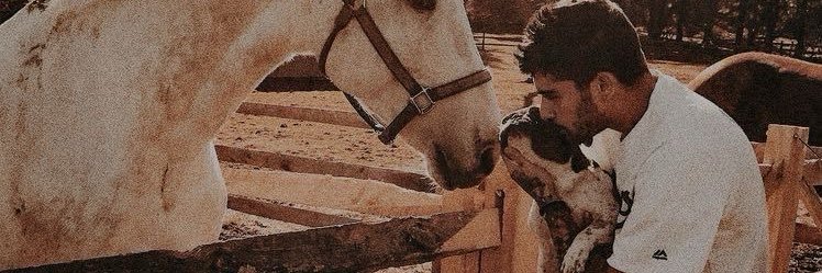 dani 🫧 banner