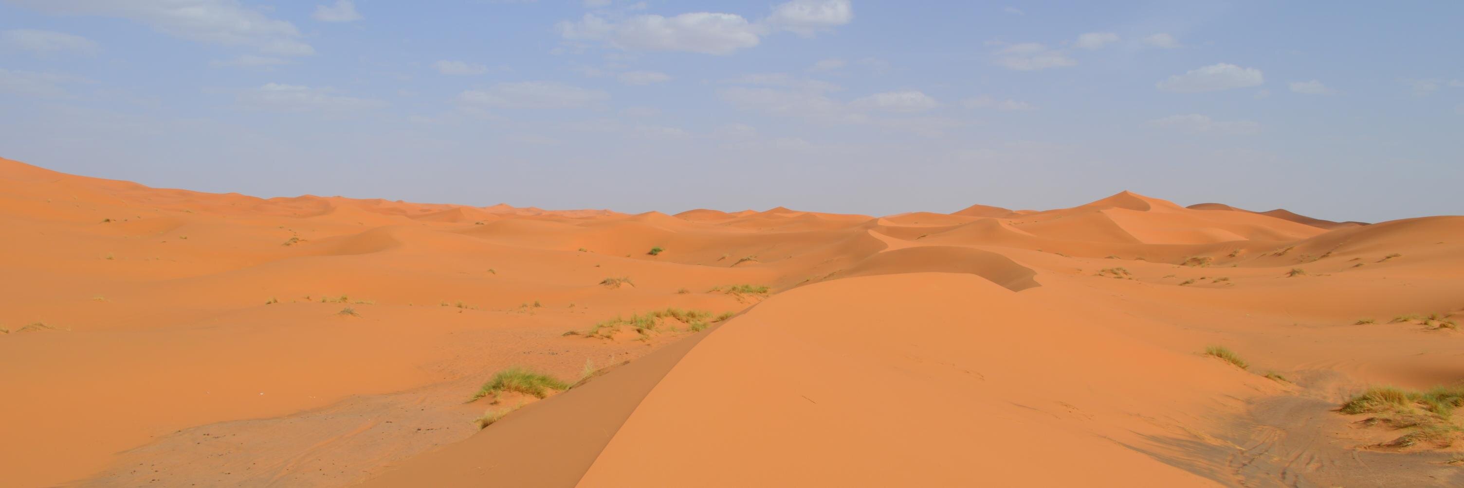 dexmont's profile banner image