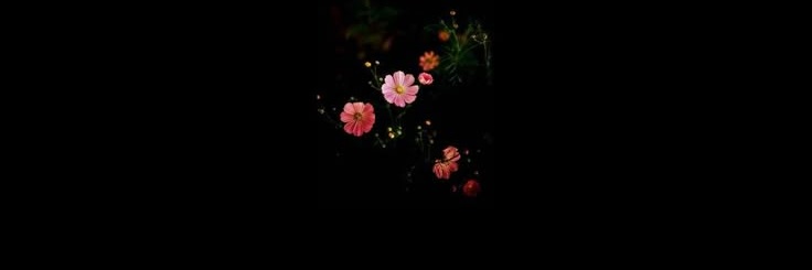eloderler62's profile banner image