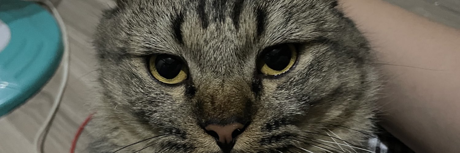 _sttphnvllnva's profile banner image