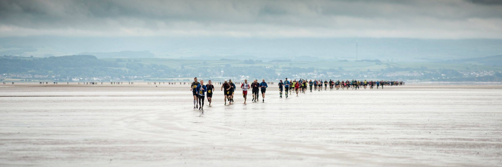 David Harrison banner