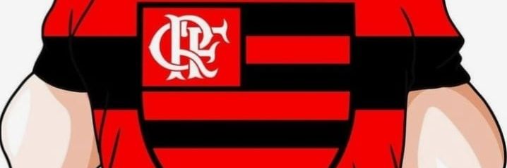 fabio rodrigues banner