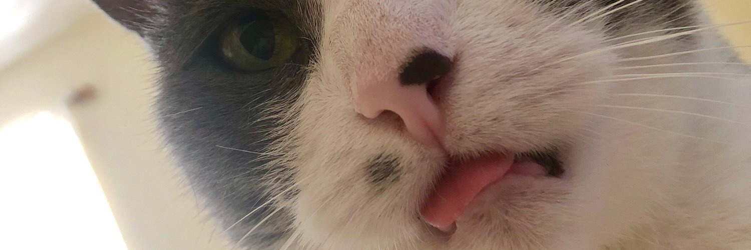 Saleem Dabbous banner