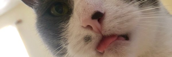 Seemo Profile Banner