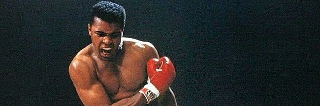 ARDY🇬🇦🇫🇷 banner