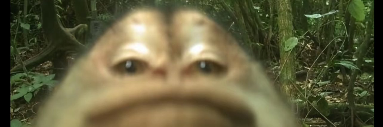 drummond_dk's profile banner image