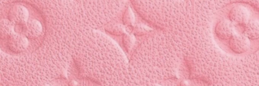 ShaeNicole banner