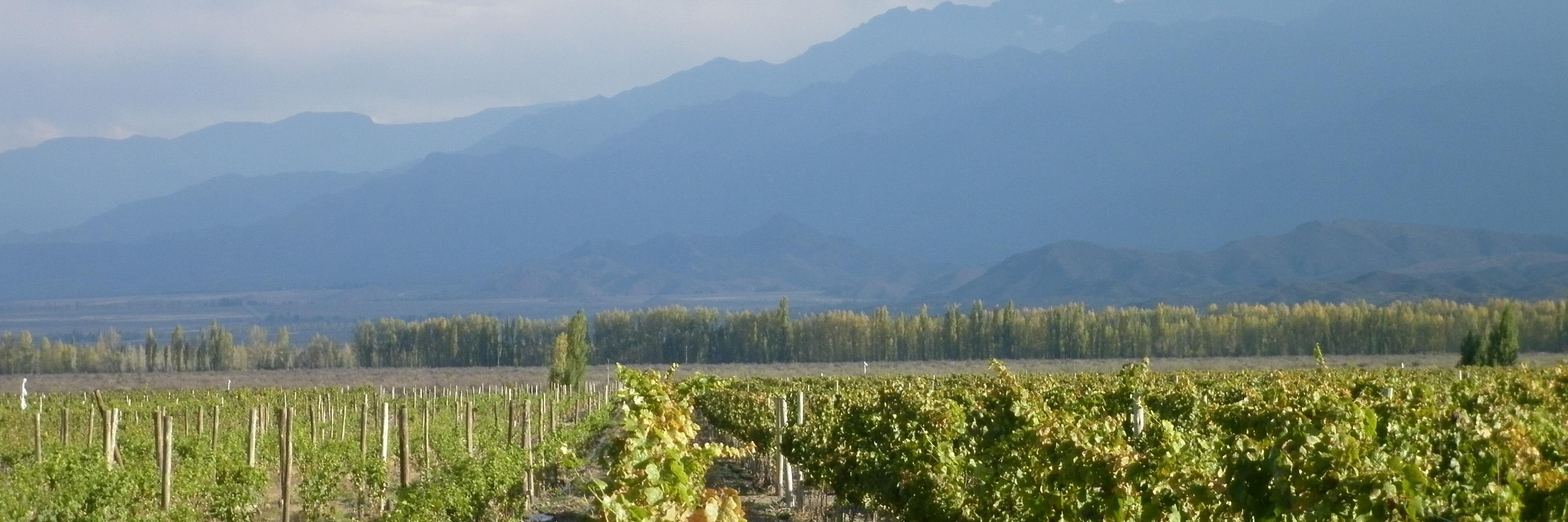 bodegadeltupun's profile banner image