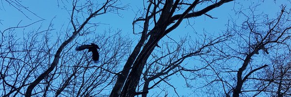 KroghLiv Profile Banner