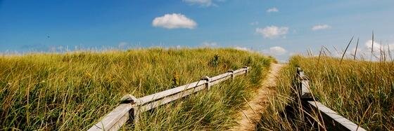 brakishpei's profile banner image