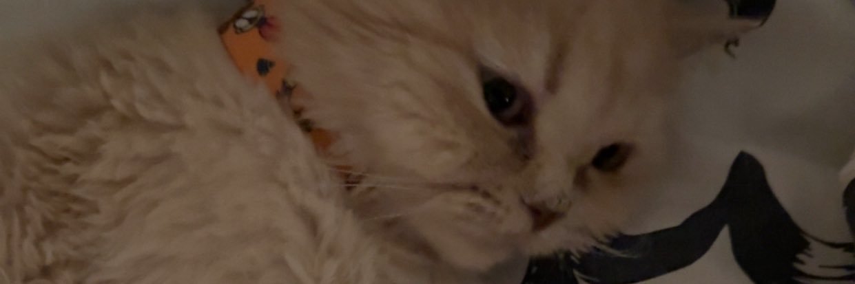 technetium_3's profile banner image