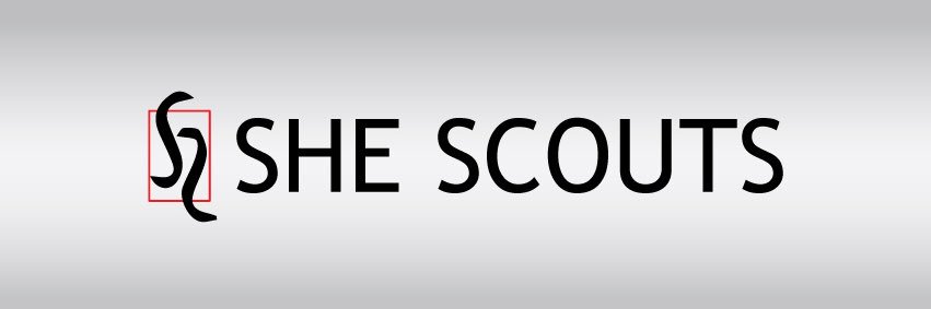 SHESCOUTSLLC's profile banner image