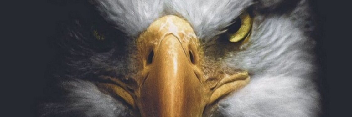 Cihat K İ T İ R banner