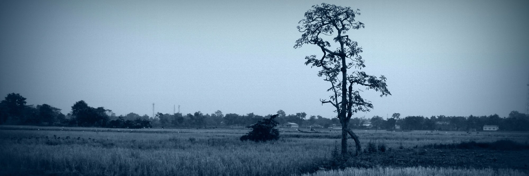 JohnsBasumatary's profile banner image