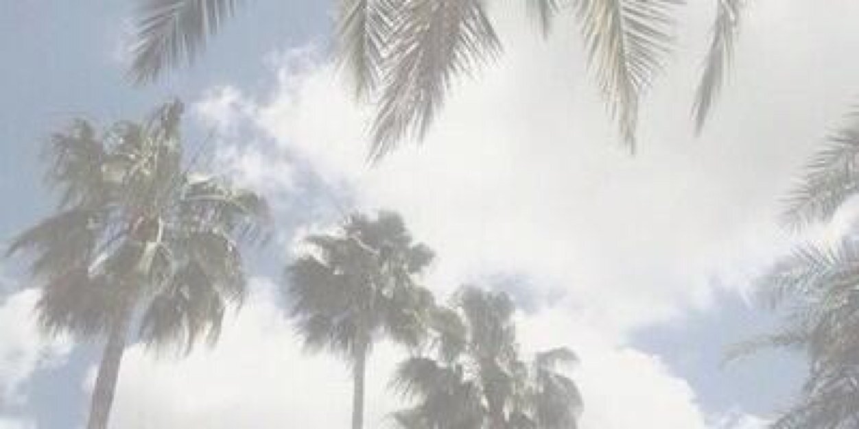 elandni's profile banner image