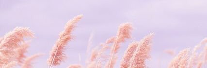 Rizkitaj's profile banner image