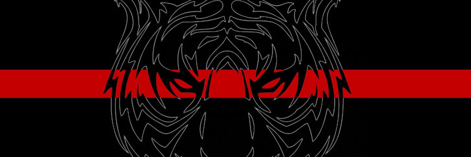 Lee_Tigr's profile banner image