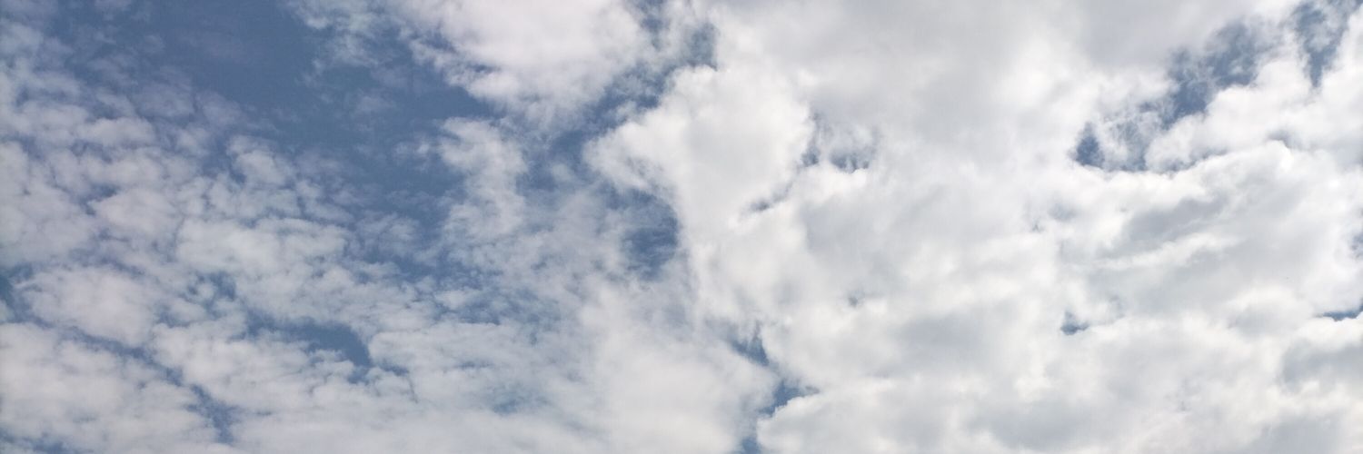 Melangochas's profile banner image