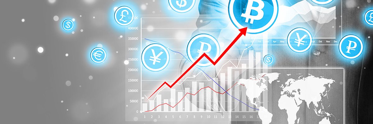 fx4trader's profile banner image