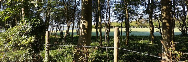 chronictonicnut Profile Banner